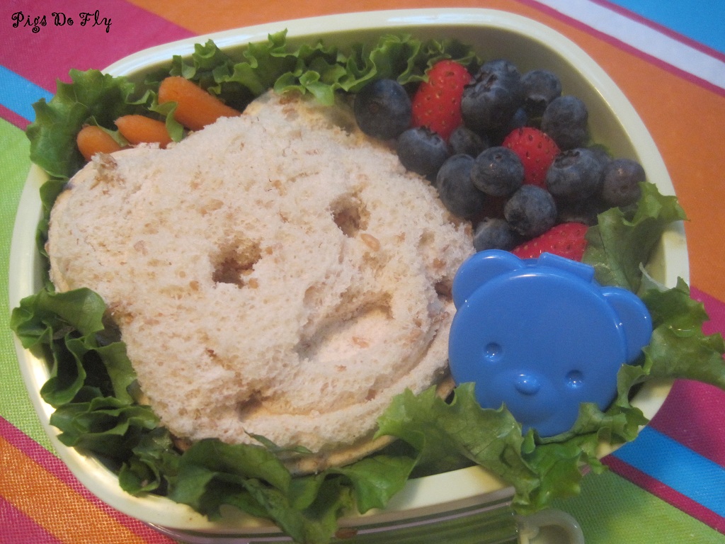 teddy bear sammy bento